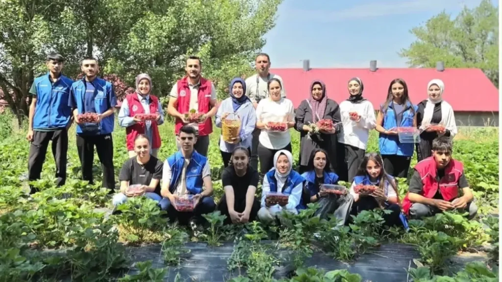 Tutak Gençlik Merkezi İsaabat’ta Çilek Hasadına Katıldı