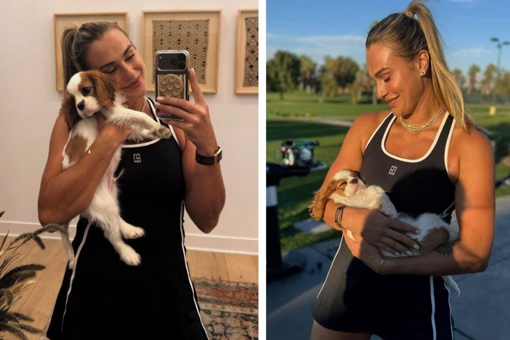 Wimbledon’da Evcil Hayvan Kurallarına Duygusal Mücadele