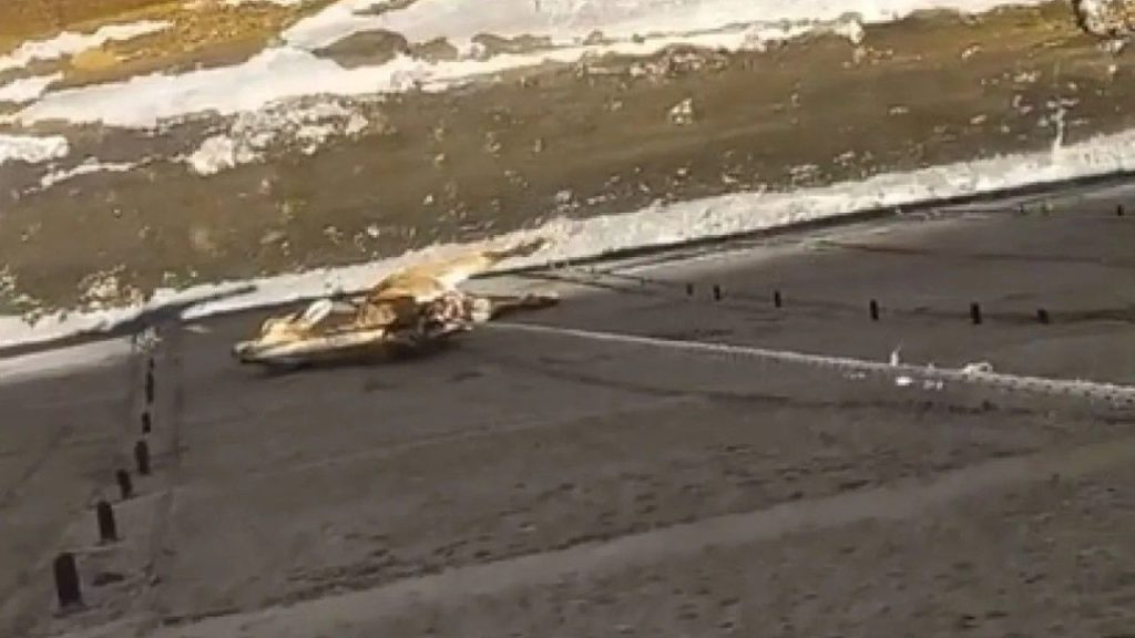 Yaban Keçilerinin Baraj Suyu Çalışması Sırasındaki Kurtarma Anı