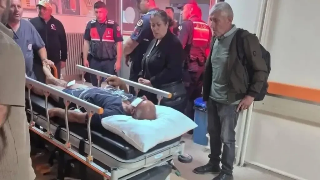 Ayı saldırısı: Köpeğin araya girmesiyle kurtulan Ali Fethi Ünal