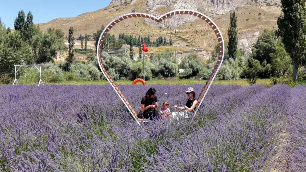 Lavanta üreticisi Niyazi Selvi: Boşlukları aşarak lavanta bahçesiyle turizme yol