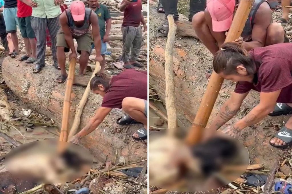 Nepal’de sel felaketi: can kayıpları 359’e yükseldi