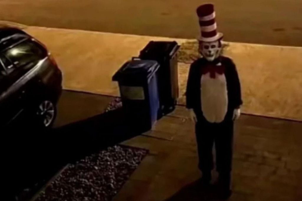 Şapkalı Kedi Panikleri ve Yapay Zeka Gerçeği