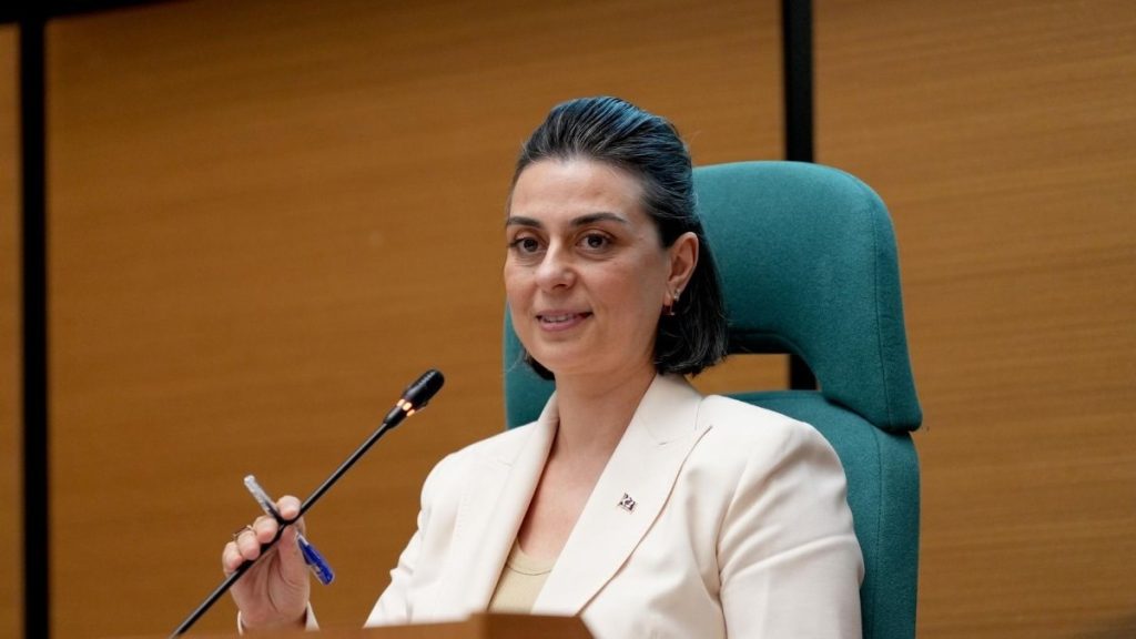 Sinem Dedetaş için tutuklama kararı sonrası görevden uzaklaştırma