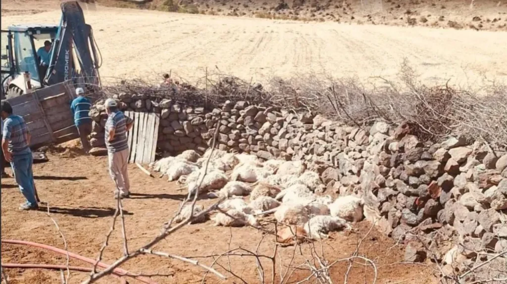 Ağlda 65 Küçükbaş Hayatını Kaybetti Yangın Şiddetlendi