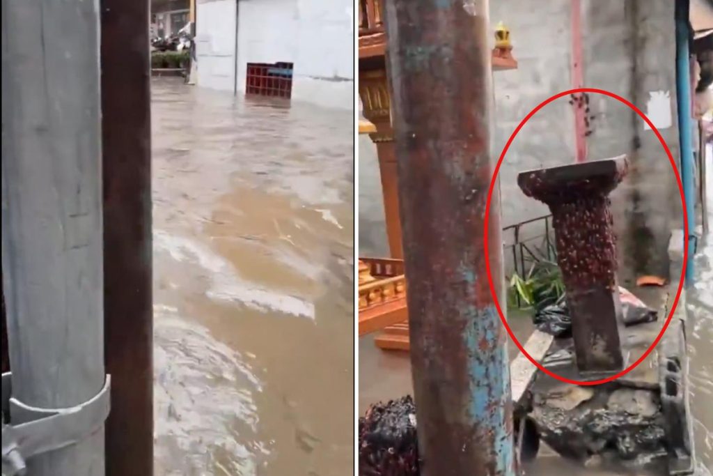 Bangkok’ta Şiddetli Yağış ve Sel: Böcekler Yükselen Suları İzledi