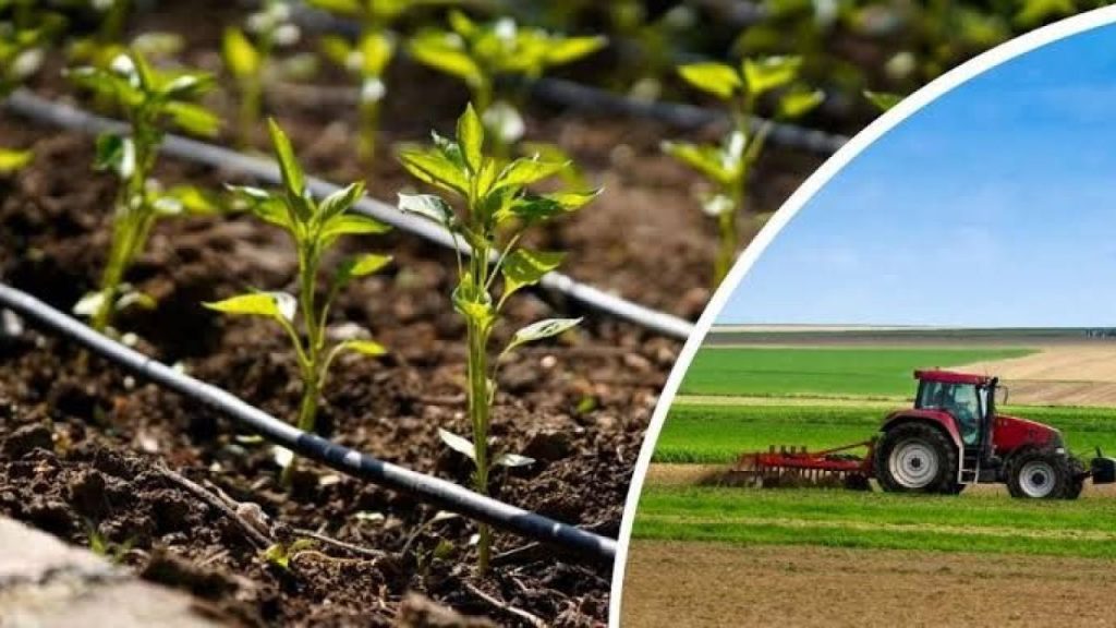 KKYP kapsamında 3.180 proje için 11,3 milyar lira hibe