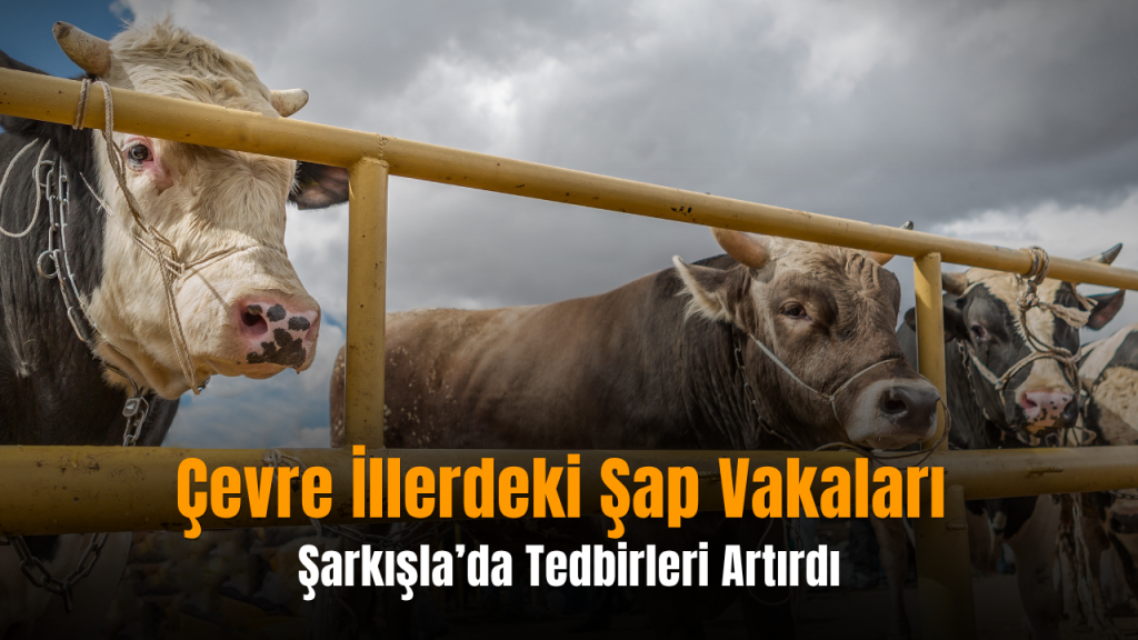 Şarkışla Hayvan Pazarı Geçici Kapatıldı