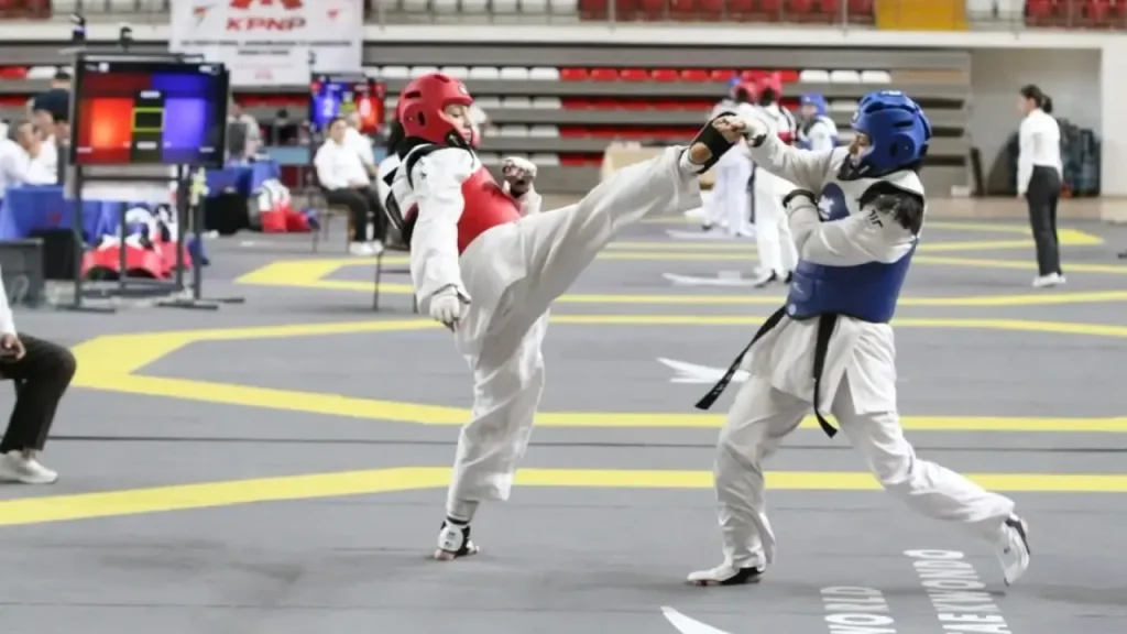 Taekwondo Doğu Grubu Müsabakaları Sivas’ta tamamlandı