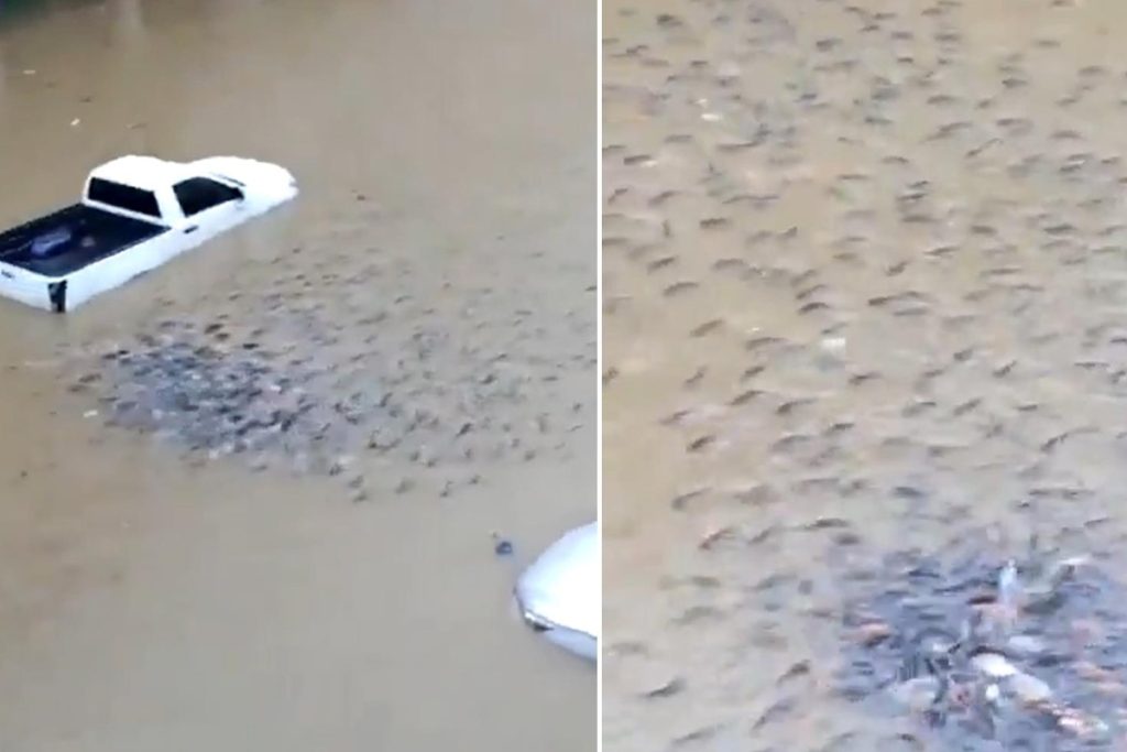 Tayland’da 42 İlede Sel Felaketi ve Bangkok’ta Acil Durum