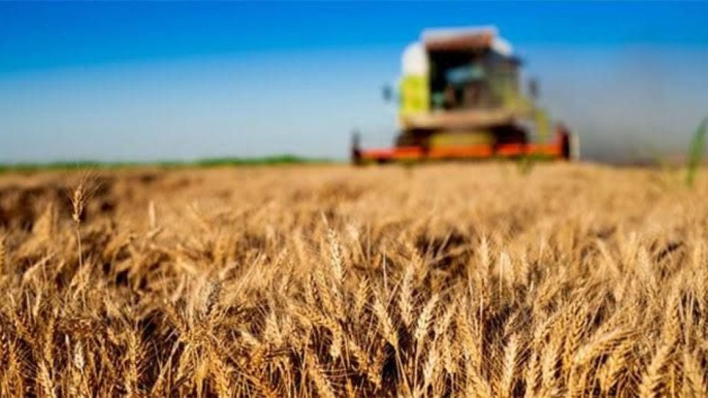 Yeni Desteklerle Tarımsal Üretime Yönelik Tutarlar Artıyor
