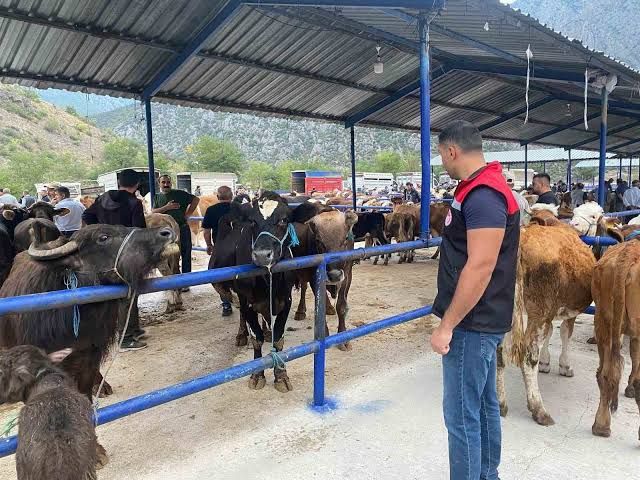 Yozgat’ta Hayvan Pazarları Kapatıldı