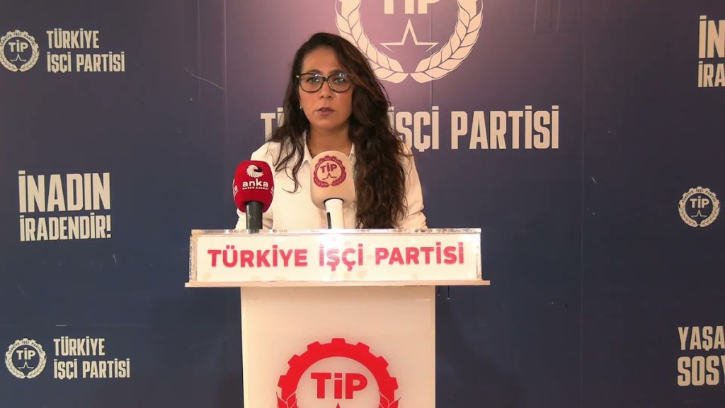 Kadıgil: Hesap soranlar ve krizin etkileri üzerinde duruyor