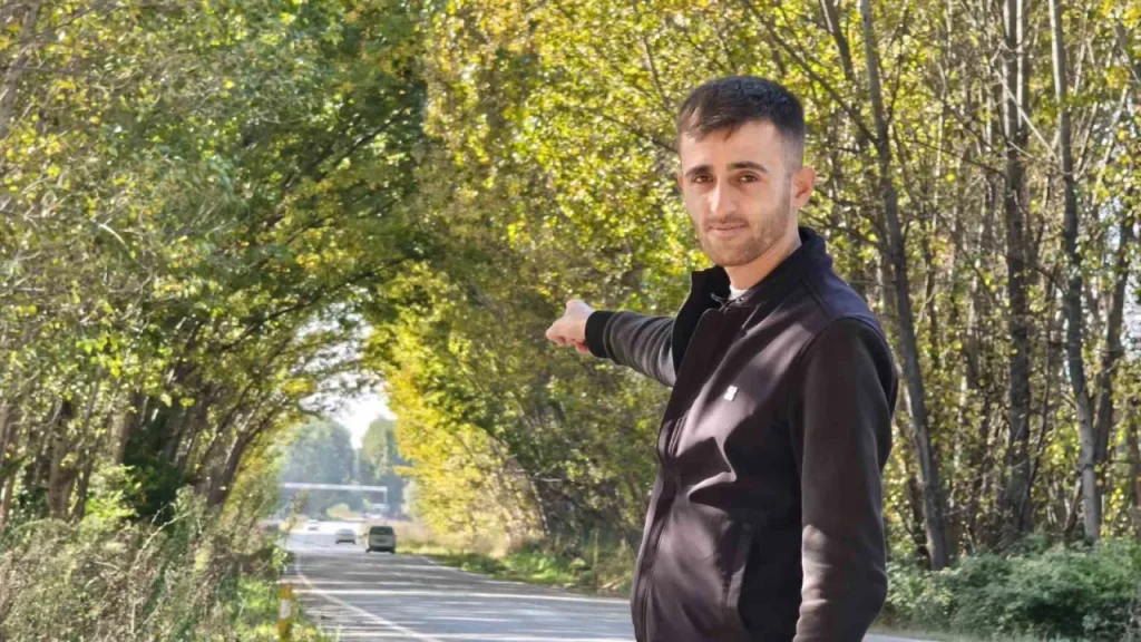 Kavaklar Yol Tüneliyle Sonbahar Fotoğraf Noktası