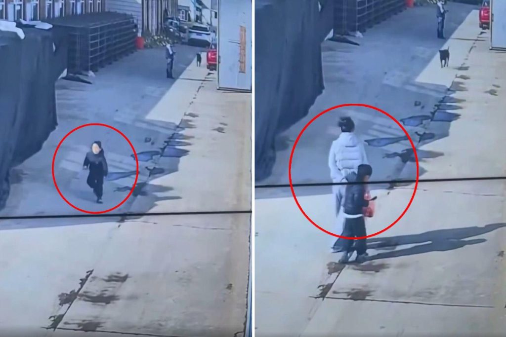 Köpeğin saldırısına karşı annenin kahramanlık anı paylaşıldı