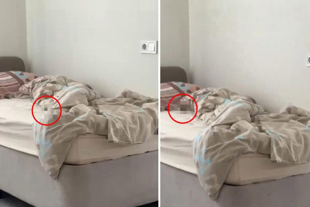 KYK yurdundaki fare görüntüsü tepki çekti