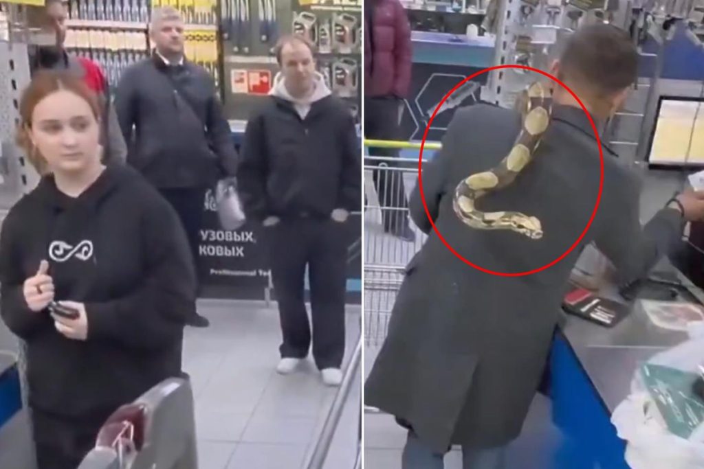 Moskova’da Evcil Pitonlu Adamın Alışveriş Şakası