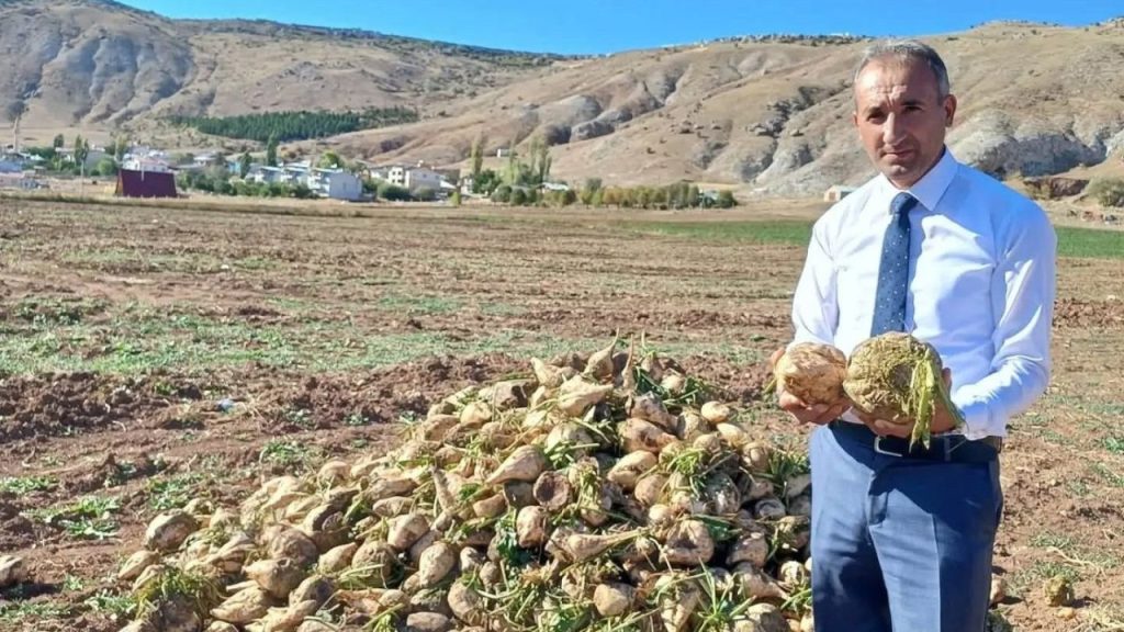 Şeker Pancarında Fiyat Artışı ve Maliyet Tedirginliği