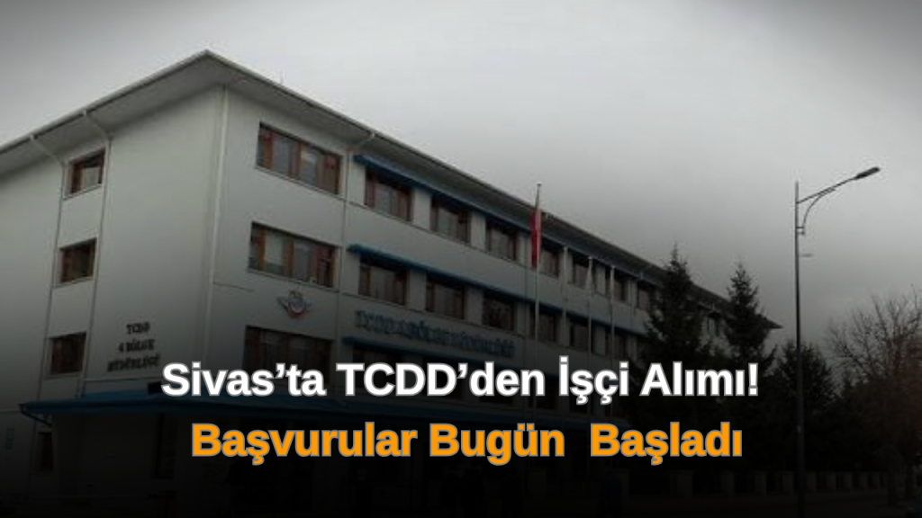 TCDD 166 Sürekli İşçi Alımı: Kadro Dağılımı ve Başvuru Şartları