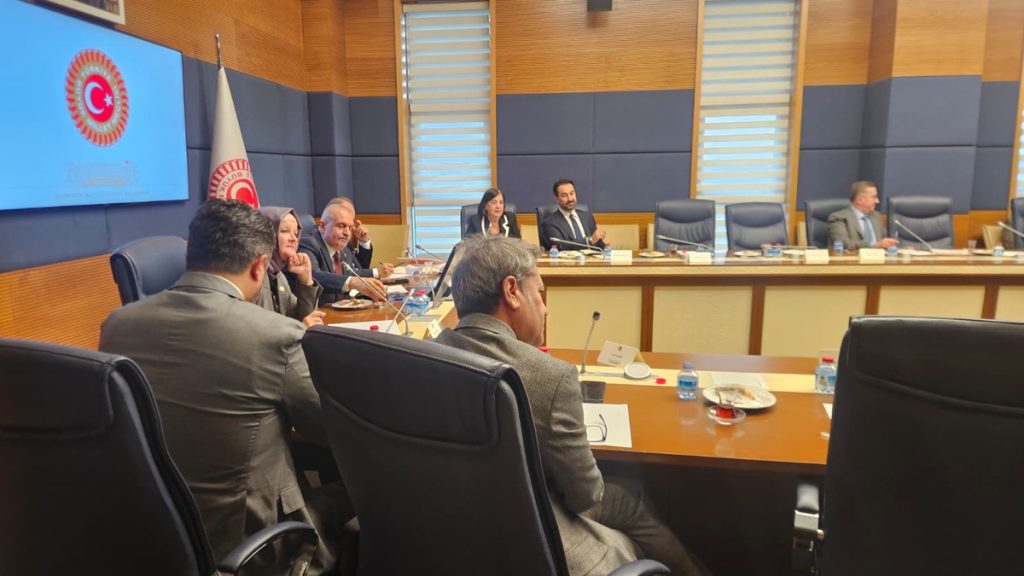 Türkiye-AB İlişkilerinde Vize ve İş birliği Görünümü